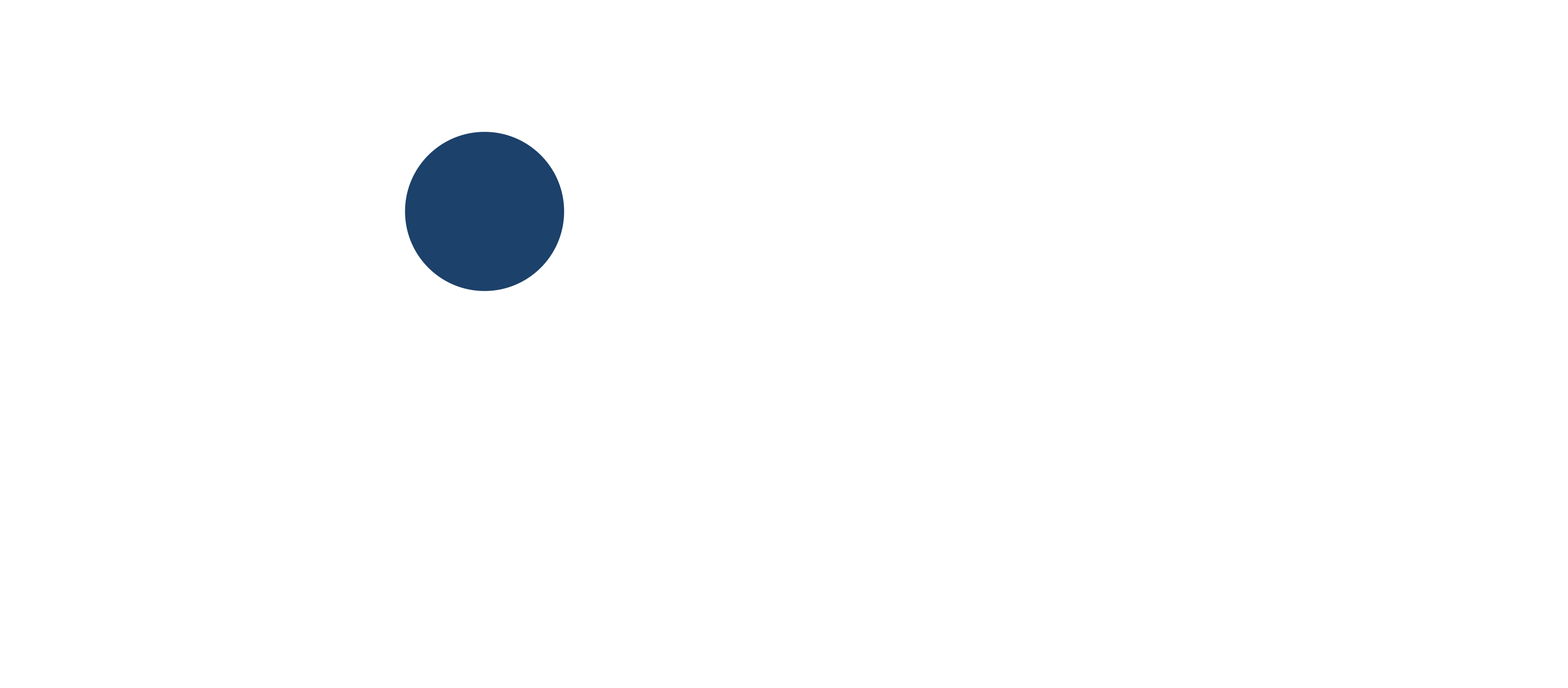 Iconception